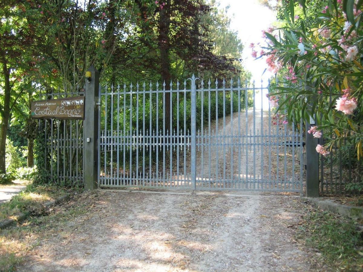 Villa In Campagna Costa Al Bagno Montopoli in Val dʼArno Екстериор снимка