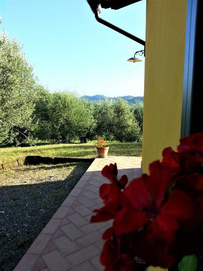 Villa In Campagna Costa Al Bagno Montopoli in Val dʼArno Екстериор снимка